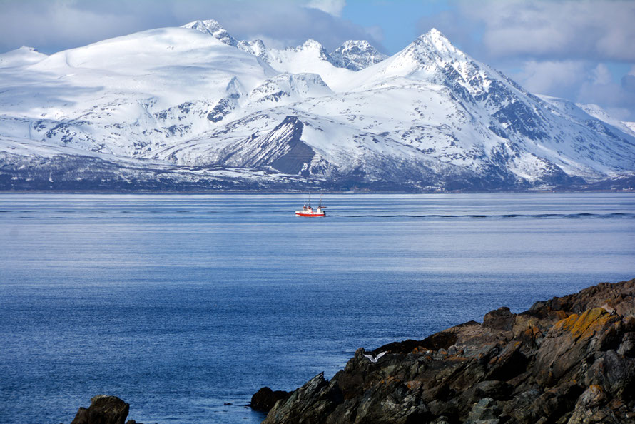 Vannøya island seen from the end of the Lyngen Peninsula. The island's bed rock is made up of mica and tonalitic to granodioritic gneisses.   These rocks are ancient - from 2900 to 1750  million years ago - compared to the Lyngen gabbros of 500-425 MYA. 