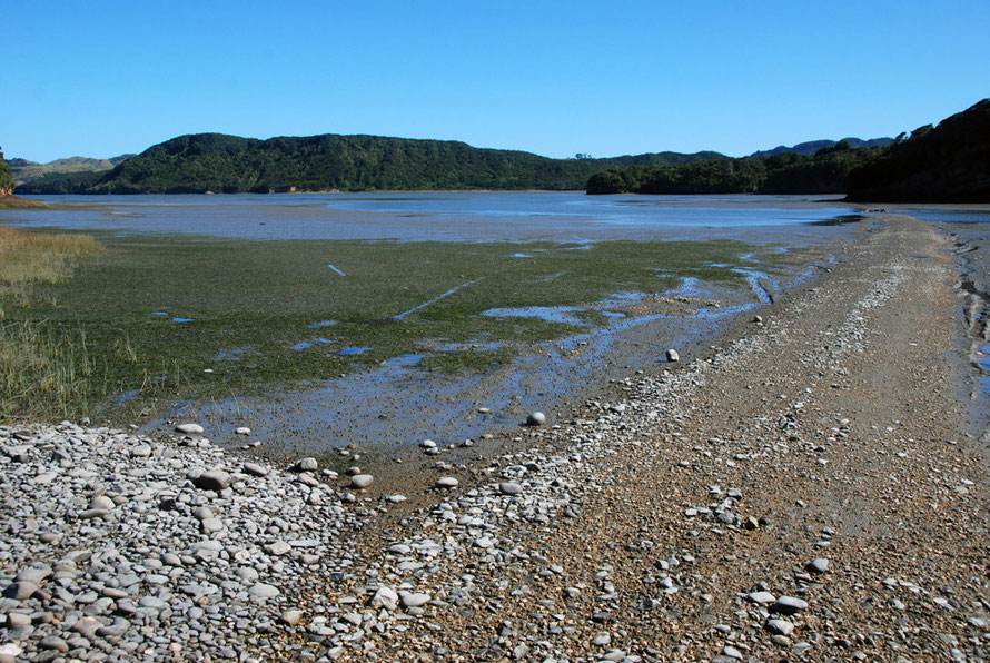 Boat launching point on the Whanganui Inlet in the Kahurangi National Park