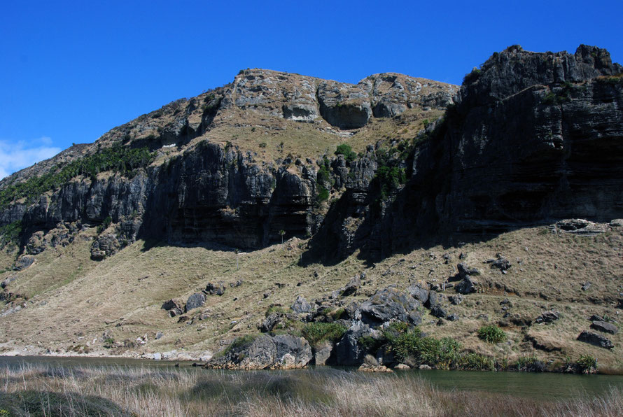 The bluff as it turns the corner into the lee of the prevailing westerlies with a fallen pillar of limestone in the Paturau river.