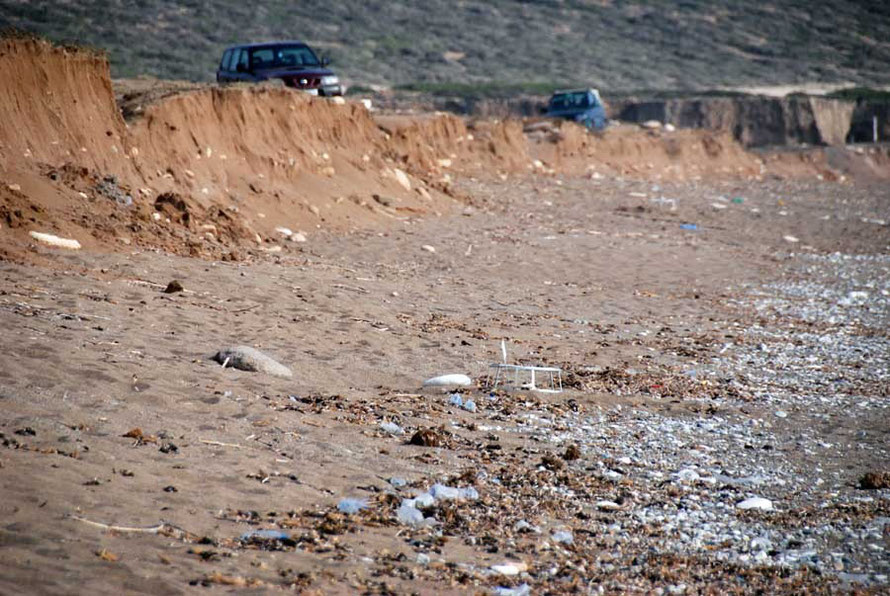 Akamas in June: turtle nest guard and encroaching traffic.