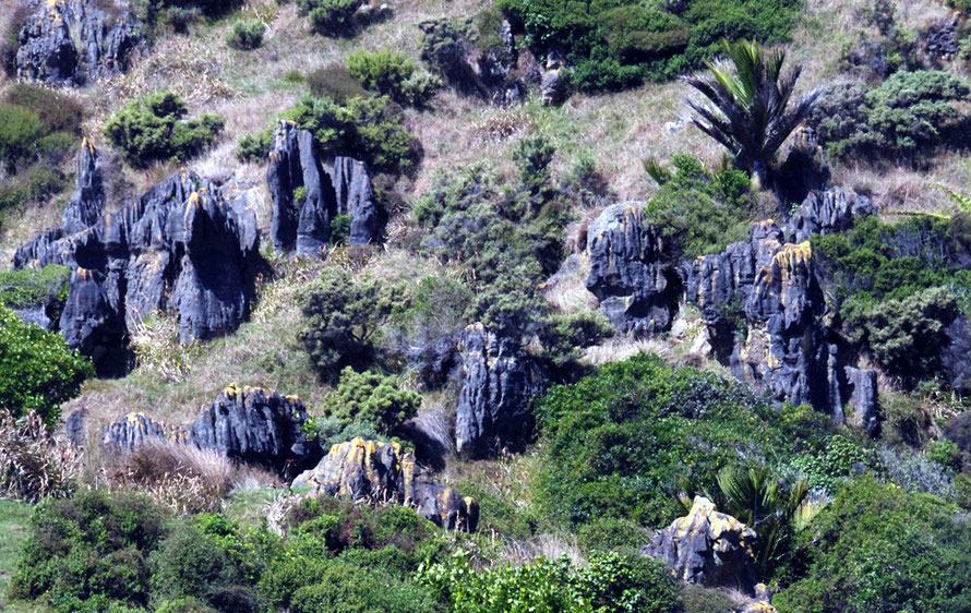 Sentinels of blackened limestone with lichen tops stand mute on a hillside on the road to Antinori.