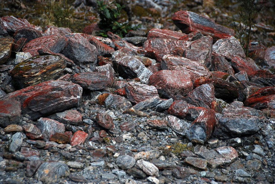 A seemingly lifeless pile of schist debris in the Fox valley.