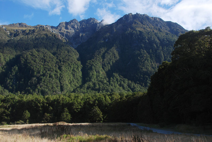 The gravel track into Cascade Creek camping area with Melita Pk above, Milford Road.