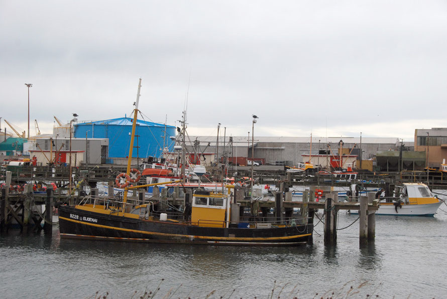 Elioenai tied up at Bluff harbour. 