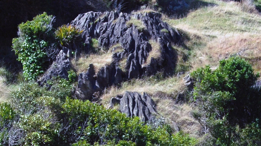 (Detail) Rinnenkarren (runnels) are visible on the partly unmantled limestone 