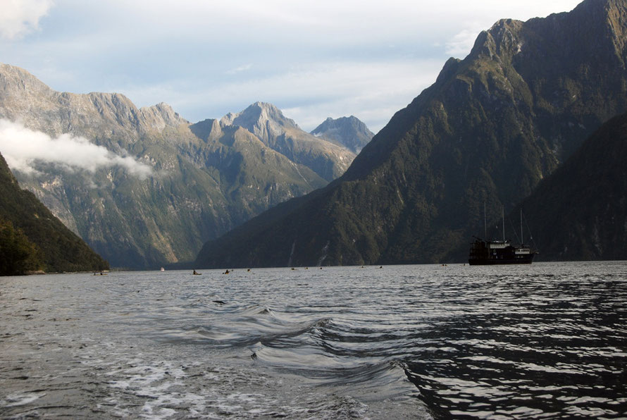 It is hard to grasp the immense scale of Milford Sound (note the kayaks and our boat, the Milford Explorer). From L to R Sheerdown, Odyssey, Mt Ada and Mt Phillips.