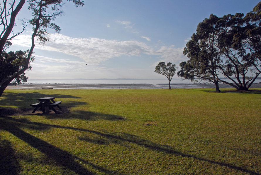 Mill Bay on the Huai road heading out towards Whatipu with the Manukau Harbour in the early morning sun. 