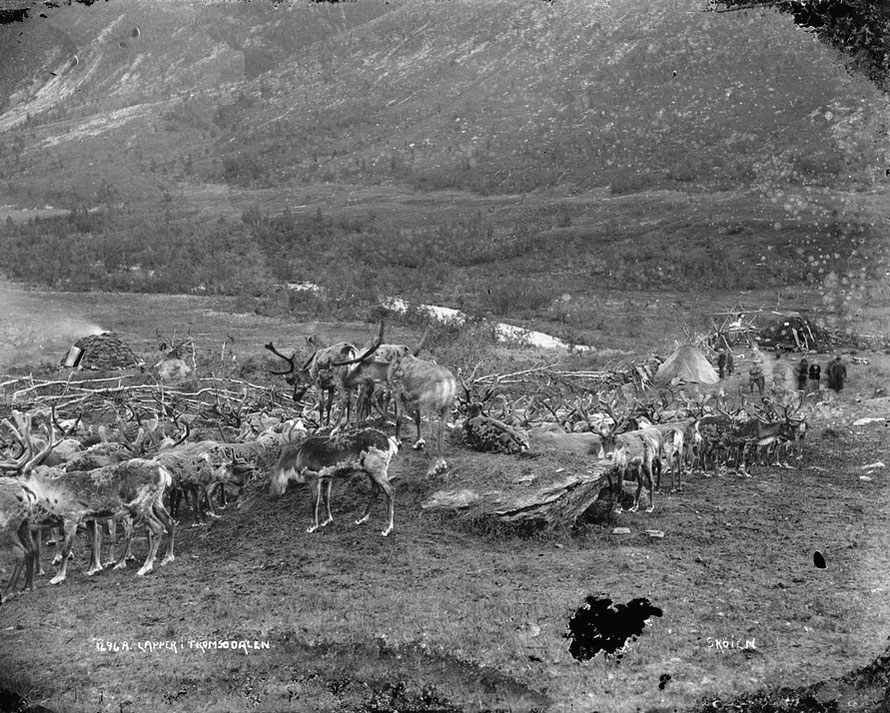 Sami summer camp at Tromsdalen in 1926. (Nat Lib of Norway Wikimedia Commons). Tromsdalen is the mainland valley opposite Tromsøysund Bridge. 