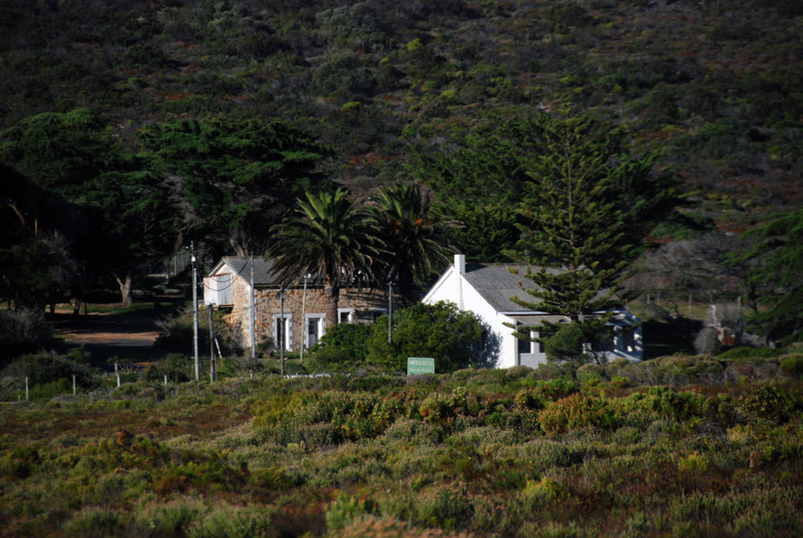 Lonely farm in the fynbos on the Plateau Road, Cape Peninsula