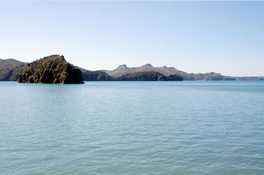 High tide in the Whanganui Inlet - a rare combination of relatively undisturbed lush native forest and tidal inlets