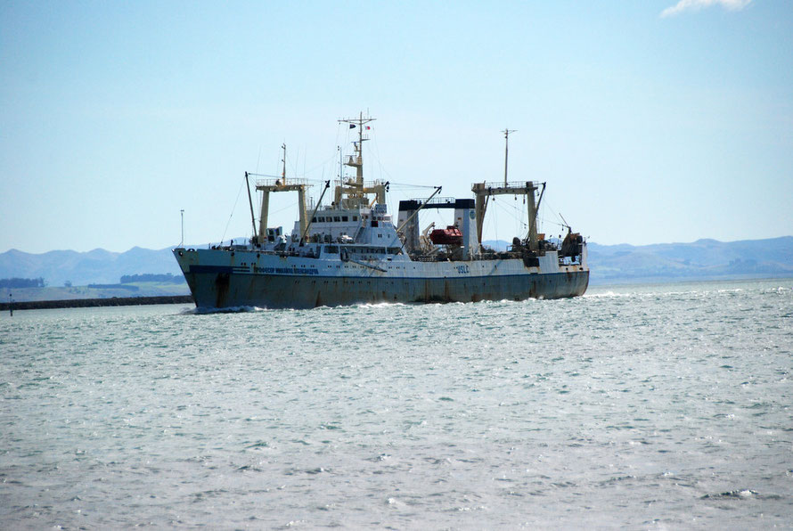 The Professor Mykhaylo Aleksandrov, a Foreign Chartered Vessel working New Zealand waters for New Zealand companies.