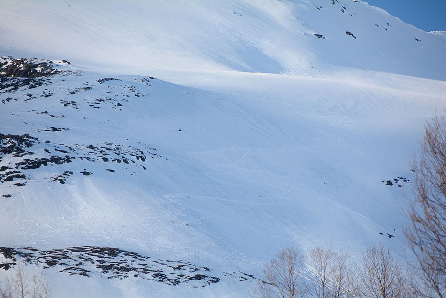 Off-piste ski tracks on Smalaktinden (1246m) just off  route E8 - the main road north - 30km south of Tromsø.