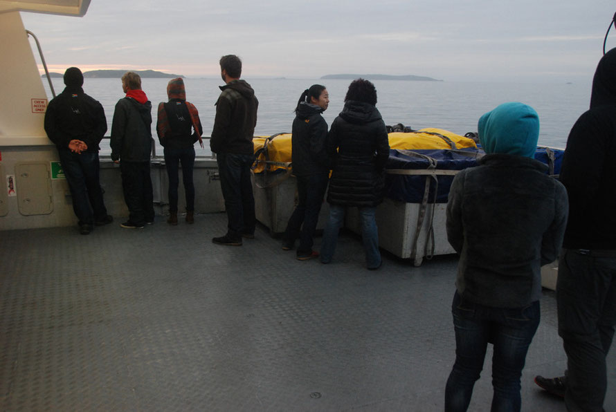 Watchers on the back of the Stewart Island Ferry with the Titi/Muttonbird Islands in the background, Foveaux Strait