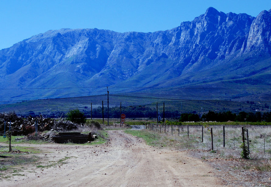 Upper Breede River looking North to the Matroos Mountains and the railway track that brings in the seasonal and full-time workers