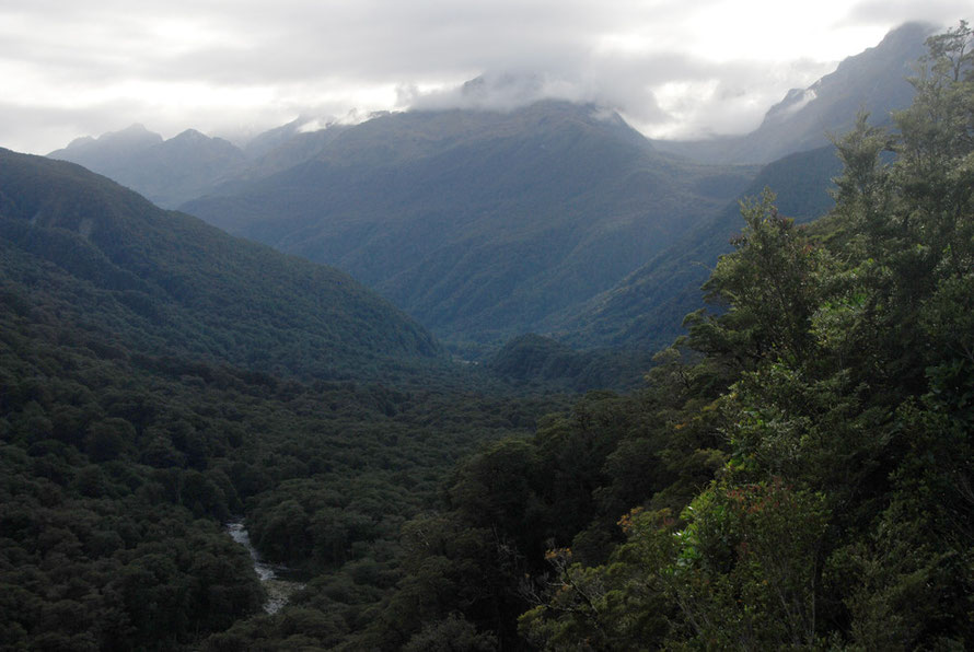 Looking north-east up the Hollyford River to the Humboldt Mountains from Pop's Lookout on the Milford Road. Pop Andrew's the road supervisor was killed by an avalanche in 1983.