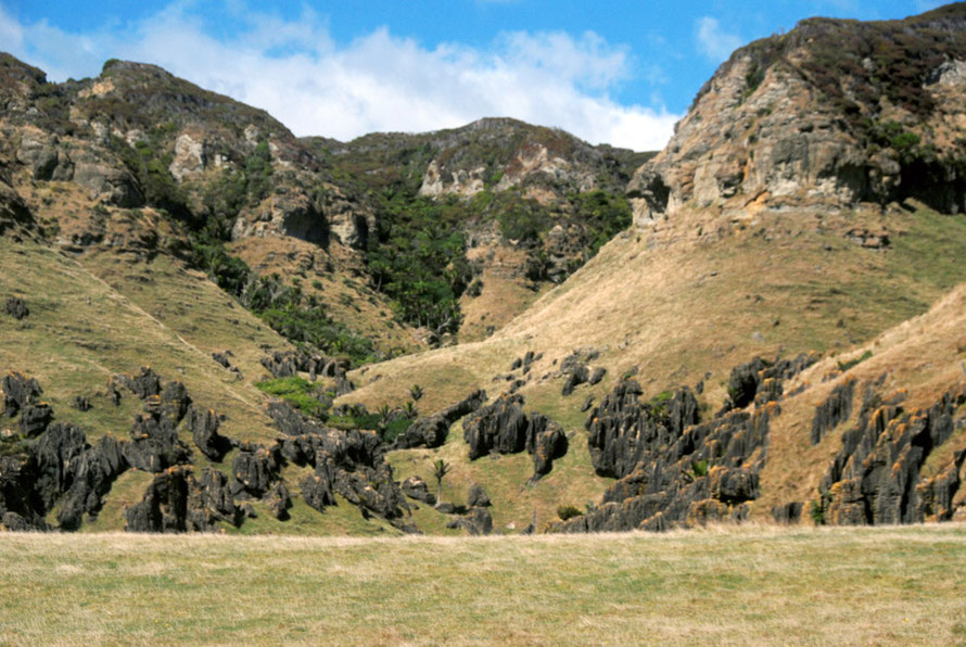 The spectacular karst country of the Cowin Road: a mustone cap with revealed karst features of the topmost beds of Takaka limestone which are the hardest and purest.