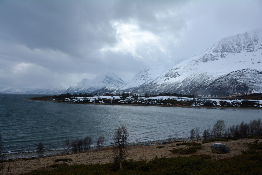 Looking south west down the 'Sørfjorden from Straumsbukta with the mountains of Lavangstinden, Sennedalfjellet (1395m) and Store Rieppefjell (1300m) and the freezing south westerly gusting at force 5-6.