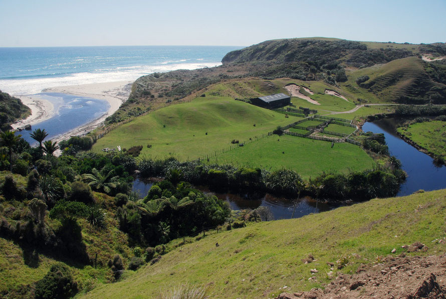 Vigorous bush clearance prepared 51% of New Zealand's land for exotic grasses. Paddock and sheds on the West Coast at the Otuhie River west of Collingwood, Tasman.