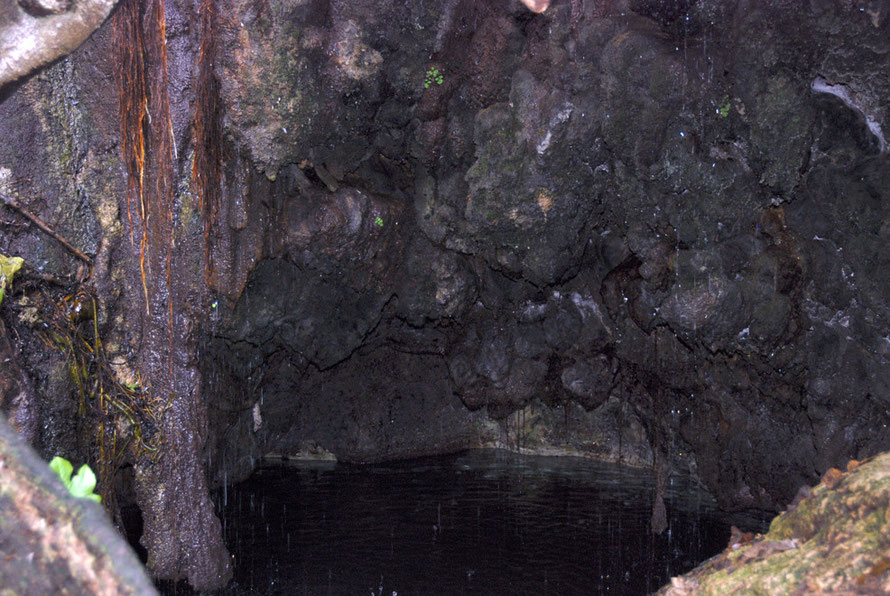 The strange, dripping grotto with its breast-like accretions at Aphrodite's Bath - Loutra tis Afroditis - north-west of Pomos (Febraury, 2011).