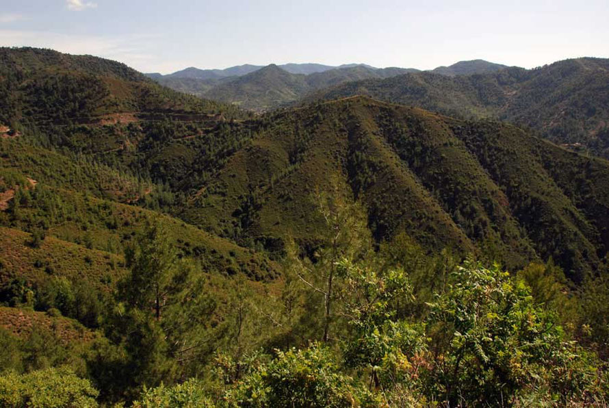 Looking back from further away to Kampos, caught in the crook of the interlocking green hills of Marathasa