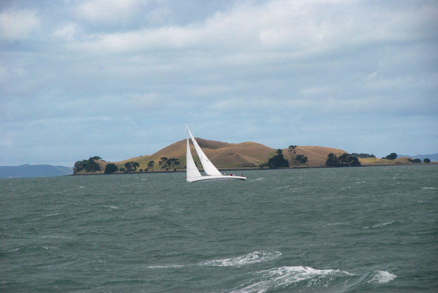 Late in the afternoon the day after Cyclone Lusi a yacht against Brown's Island (Motukorea) in the Inner Hauraki Gulf. 