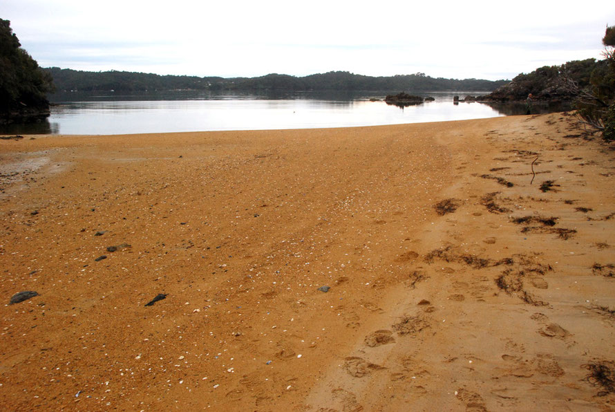 More of the granitic sands on West End Beach, Ulva Island.