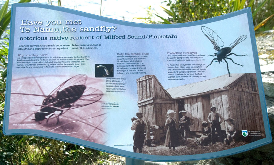 The dreaded Sandfly/Te Namu. Maori legend has it that the goddess of death created it such that people did not tarry too long over the sublime beauty of Milford Sound. It certainly helps in that regar