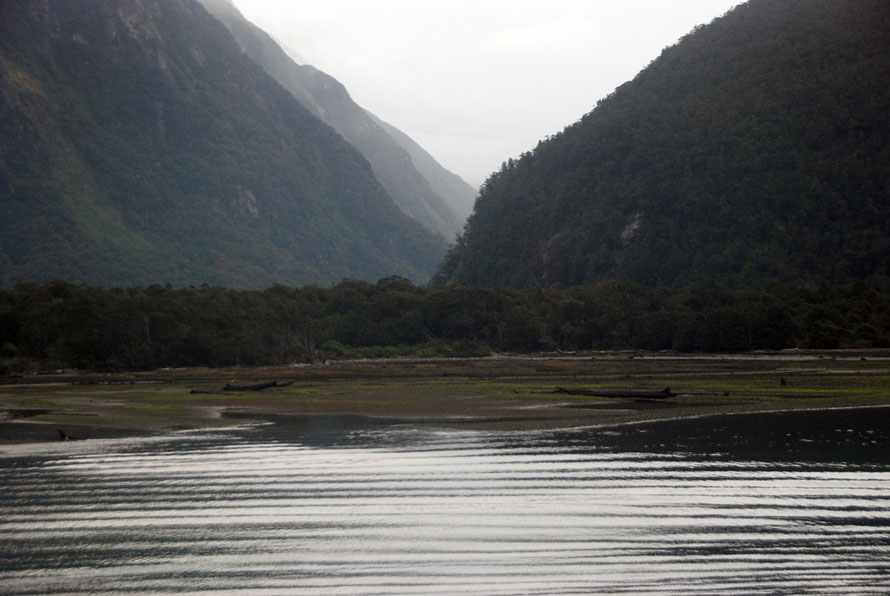 The alluvial fan in Harrison Cove. Rates of erosion at Milford Sound are eextremely slow compared to other fiord regions of the world. Hard rock, thick vegetation, small catchments and sediment filter