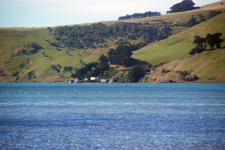 Looking down Papanui Inlet towards the sea and the cluster of bachs on the shore