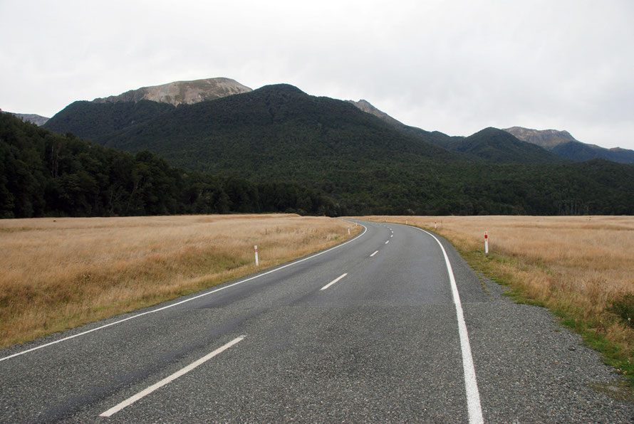 The fast sweeping bends of the Milford Road in the Eglinton Valley: it is the third most dangerous stretch of road in New Zealand.