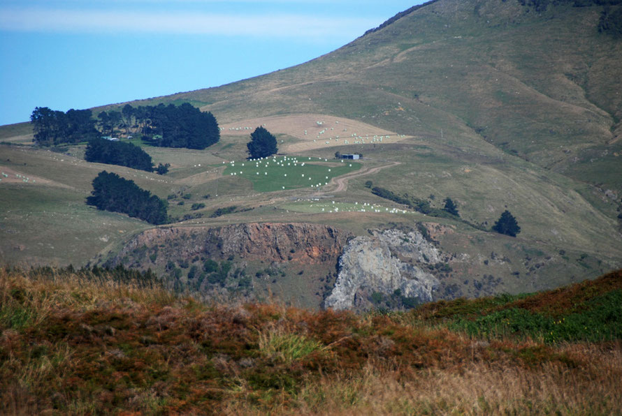 McKay Road farm on the shoulder of Mt Charles (408m) on the Otago Peninsula