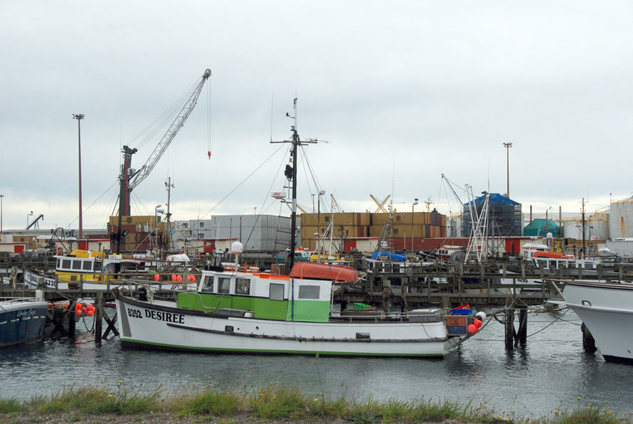 Desiree tied up in Bluff harbour with stacked containers behind.