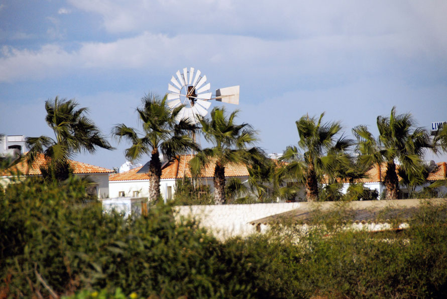 An old wind pump surrounded by villas and palm trees being battered by the north-easterly gale in Protaras