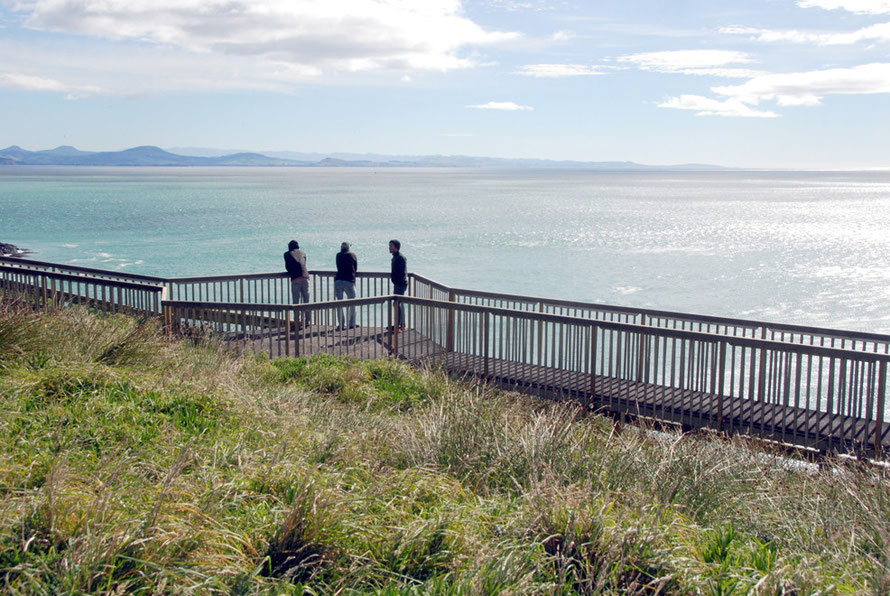 The great sweep of the Pacific east coast of the South Island from Taiaroa Head on the Otago Peninsula