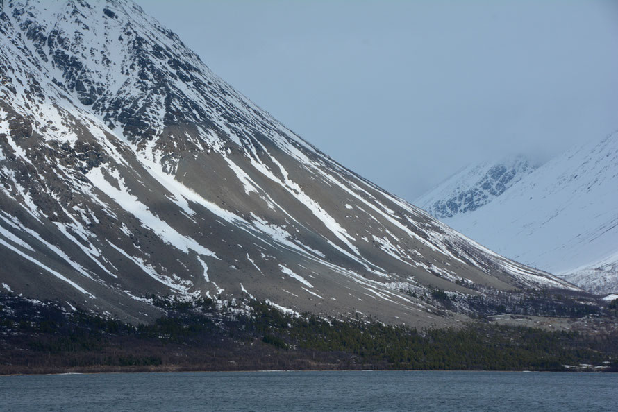 The massive scree slopes (lateral moraines?) at the eastern end of Sultinden (1080m) seen from Jovik across the deeply glaciated Kjosen inlet. (Note trees and telegraph poles for scale.)