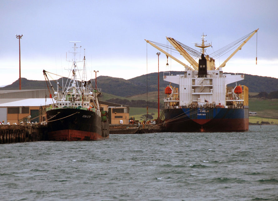 The 20,000 tonne Kwela bulk carrier loading logs at Bluff Harbour. On left the GOM 379 fishing vessel involved in the Foreign Chartered Vessels outrage in New Zealand (see below).