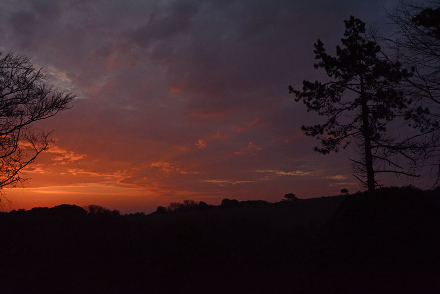 The fiery gods returning - the Blip for the today - click to see my Blip photos.