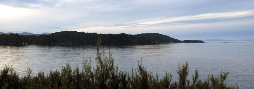 The light fades on Dead Mans Beach and Horseshoe and Mamuka Points on Stewart Islands as the Sooty Shearwaters fail to show