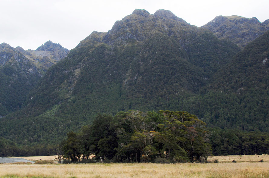 The Eglinton river valley at Knobs Flat on the Milford Road.