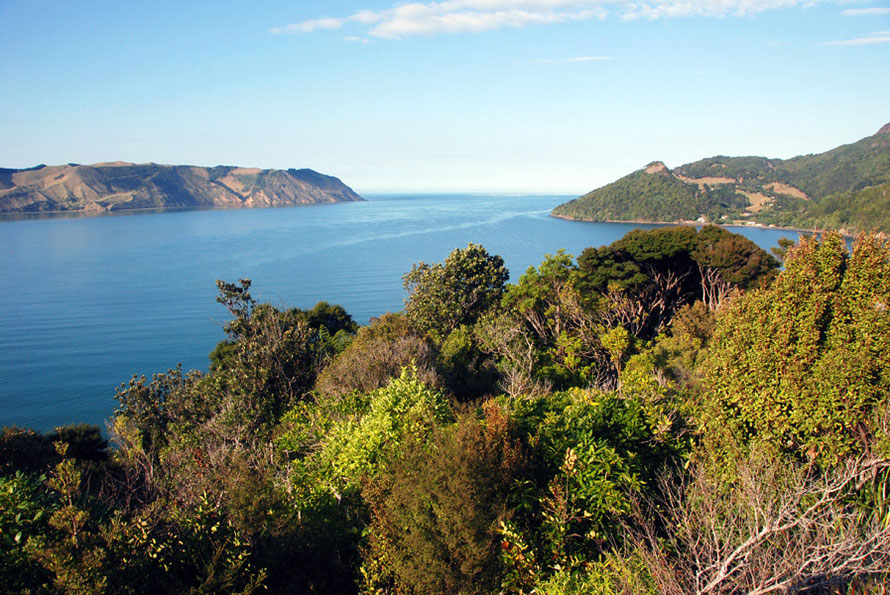 View from the Spragg Monument of the narrow Manukau Entrance and the South Head that forms the extremity of the southern arm of the Manukau Harbour. 