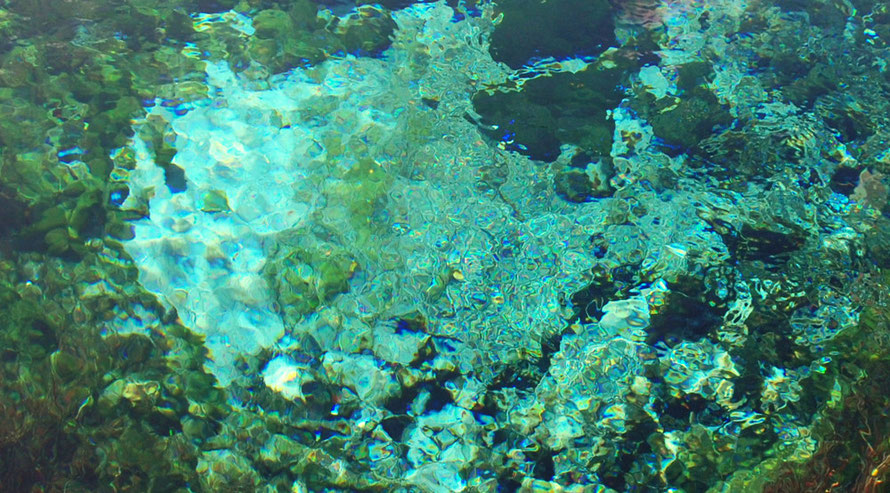 The astonishing clarity of the water at Te Waikoropupu Springs, Golden Bay. Visibilty is a staggering 63m.