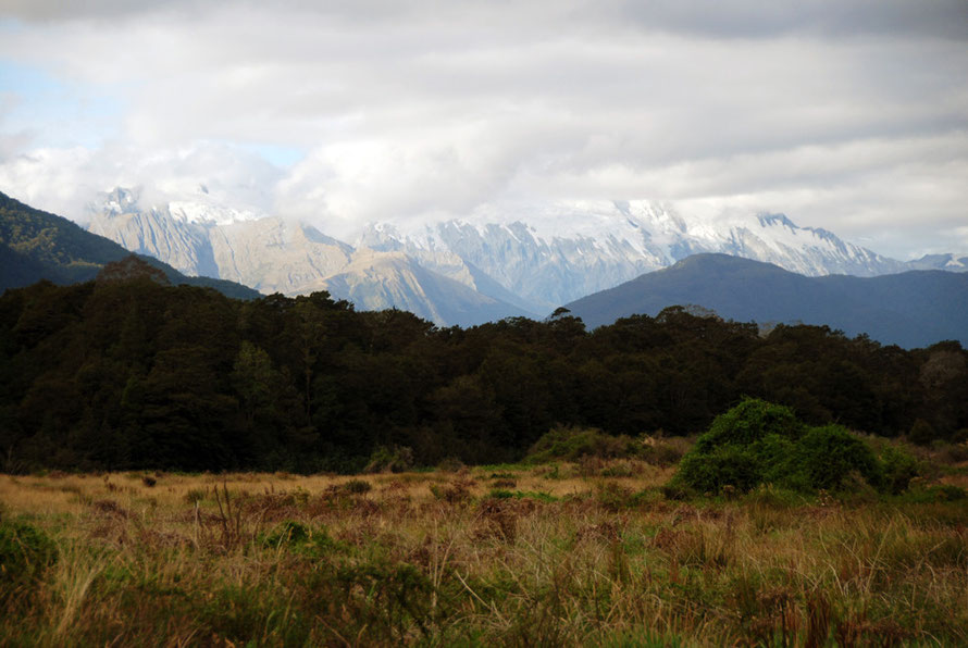 On to the Haast valley floor and glimpses of Shattered Peak and Mt McFarlane (possibly).