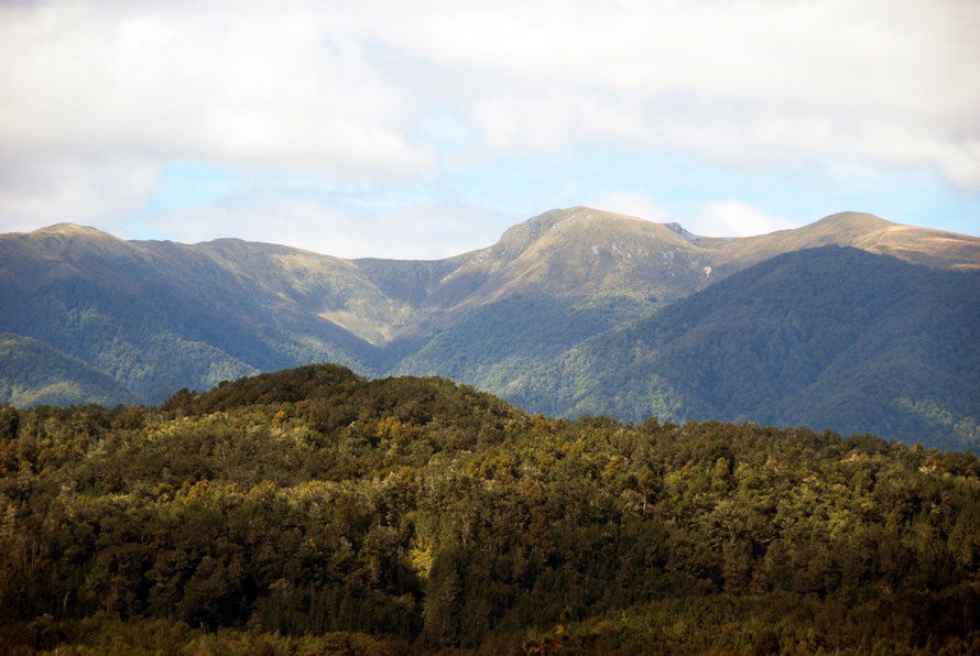 Tough terrain: Paparoa Range (1485m) from Inangahua Junction