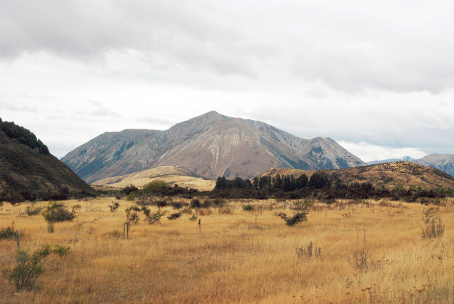 The steep slopes and scree fields of Mt St Bernard  with sparse grassland in the foreground 