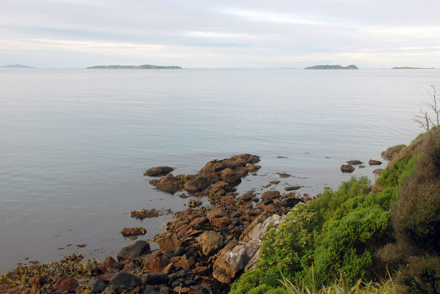 View from Fishmans Point, Stewart Island  to the Muttonbird/Titi Islands - Motuni, Pukeokaoka, Te Marama and Bunker Islets