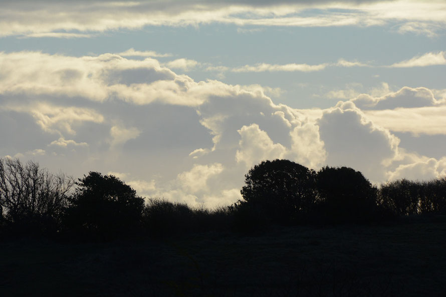 Clouds later in the day. Cold and windy but with lots of sun.