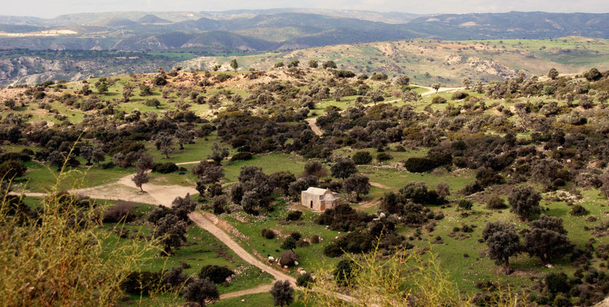 The hills running to the north west from above the church of  St. Constantine and Helen standing amongst olive trees and green meadows (January 2013).