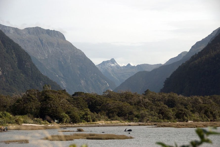 Looking up the Authur River valley and the en of the famous 54km Milford Track from Milford Sound. Advertised as 'the finest walk in the world' the track ends at the ominously named Sandfly Point. 