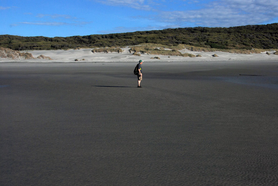 John waits on the dark sands of the intertidal zone at Wharariki Beach.