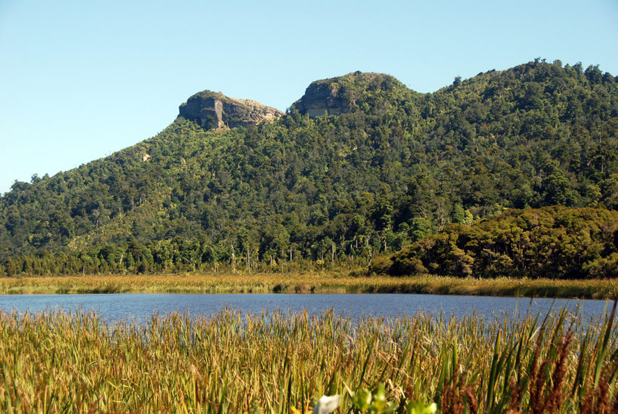 Reedbeds, open water and kahikatea forest and limestone bluffs to the west from Snake Creek Road at Mangarakau Swamp